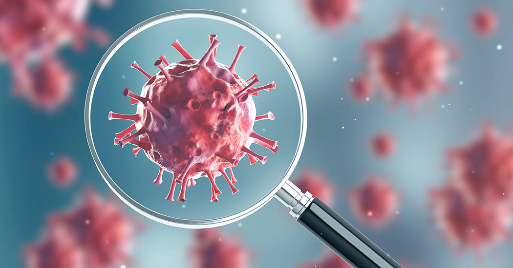 Domuz Gribi (İnfluenza A H1n1) Hakkında Her Şey